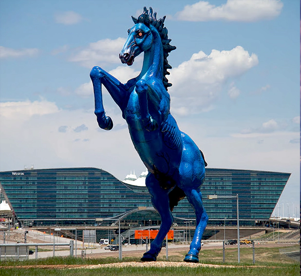 Denver Airport Transportation