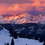 Colorado Mountain Dog riding in private Denver car service to Vail